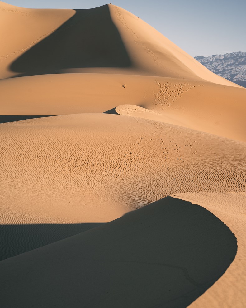 Israel Desert