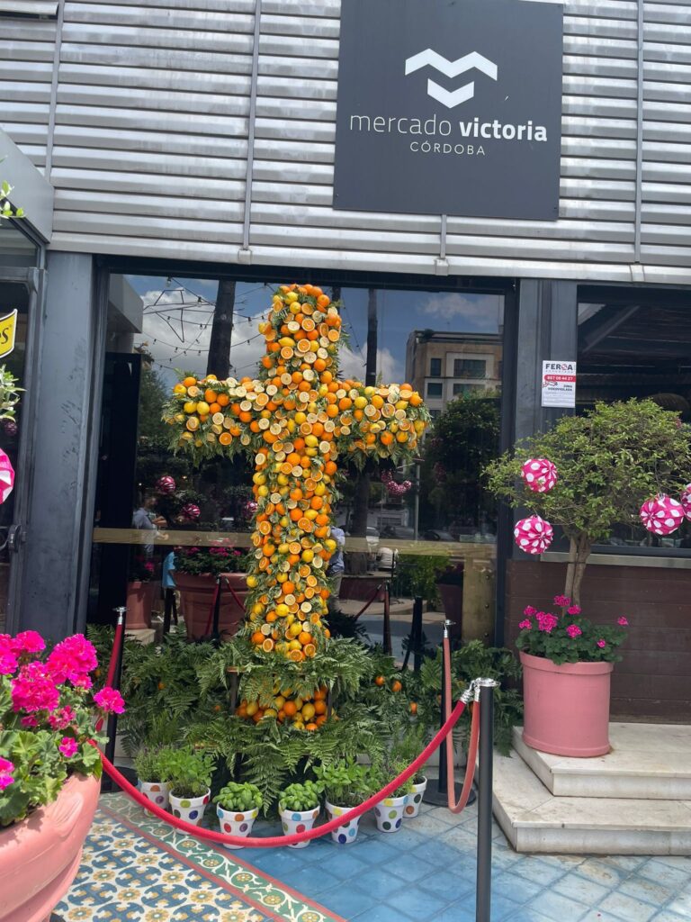 crodoba mercado victoria