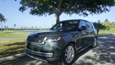Range Rover SE