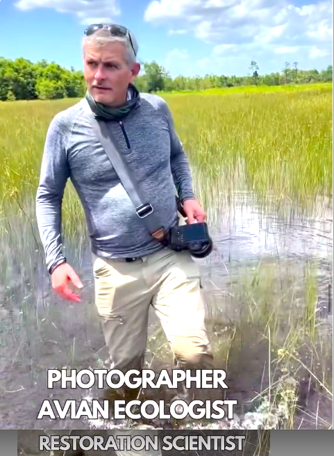 Everglades Dr Mark  Cook