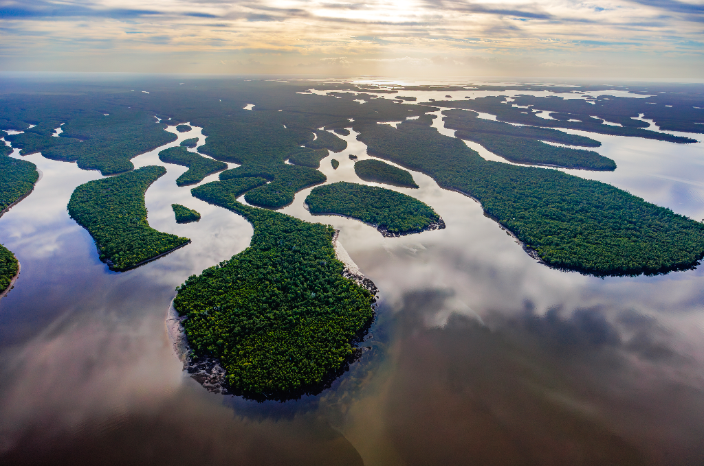 Everglades