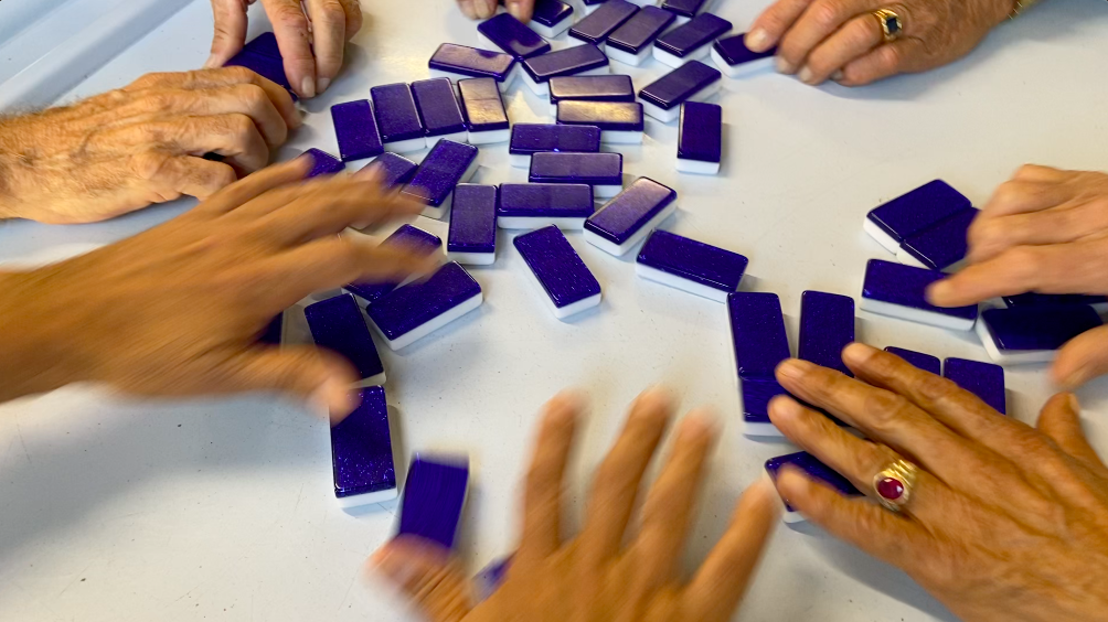 Domino Park Little Havana